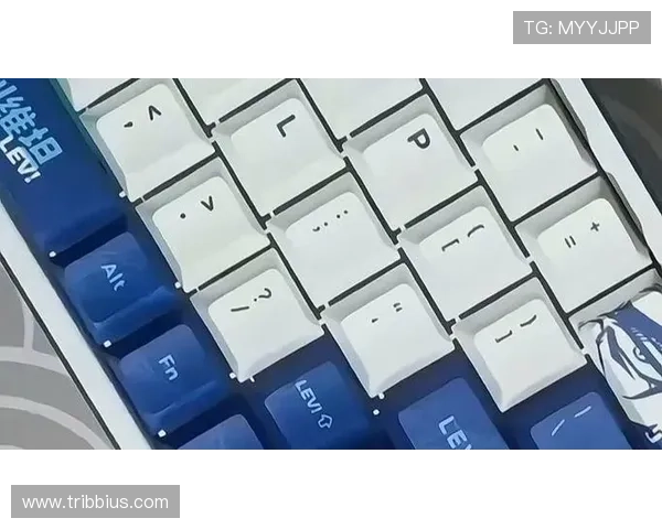 了解ttc键盘官网的品牌历史与技术创新，探索其在游戏键盘行业的领先地位