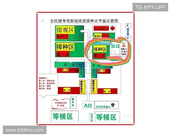 全面解析老虎机购买流程与注意事项让新手玩家快速掌握购买技巧