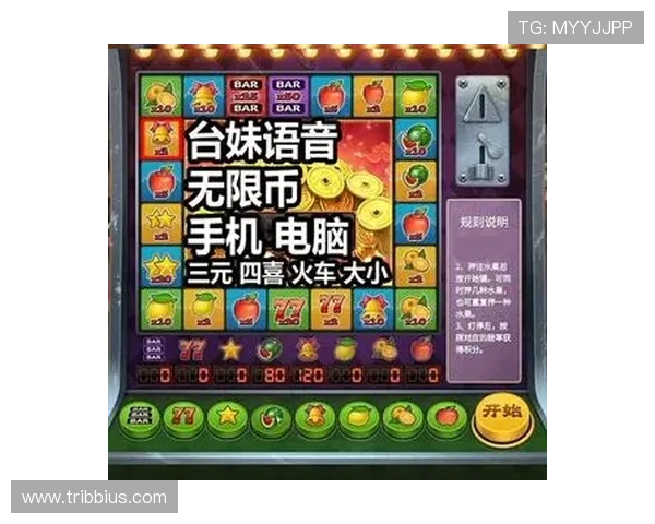 奔驰宝马老虎机规律揭秘帮助玩家提升中奖率的实用技巧分析