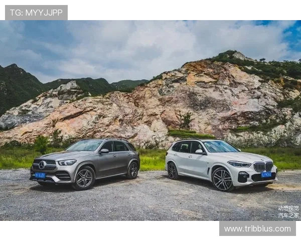 奔驰宝马免费网站在线看高清图片库丰富多样满足不同用户的视觉需求