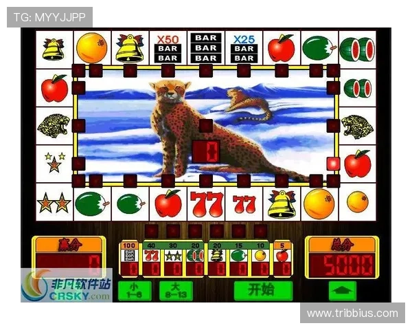 老虎机游戏机哪里有卖购买时需要注意的事项与建议