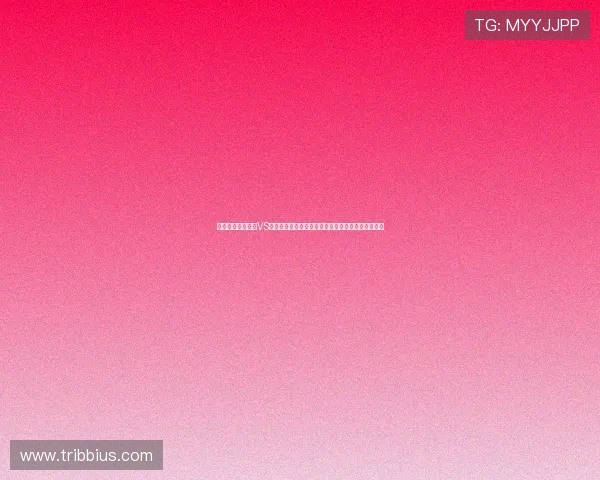 在世界杯厄瓜多尔VS库拉索比赛中红牌数的详细统计与比赛关键时刻分析